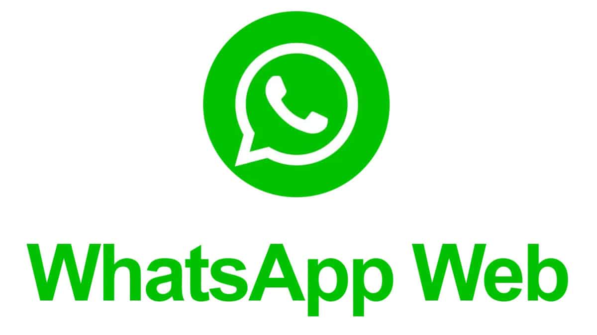 What is the difference between a business account and a regular account on WhatsApp? WhatsApp number verification